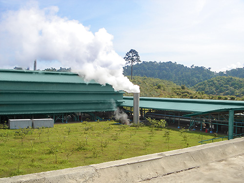 palm oil pressing machine